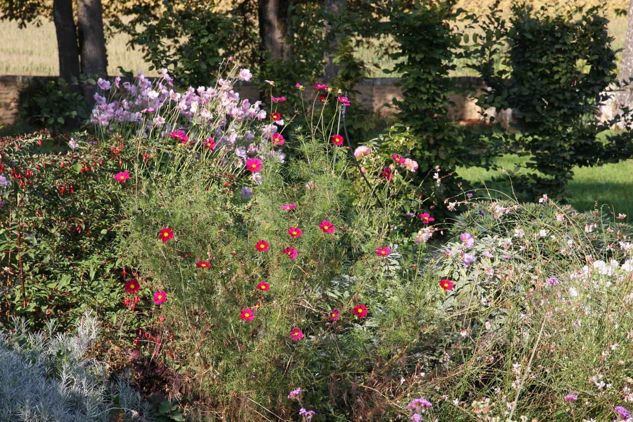 Chateau Manoir De La Leche Touvre Εξωτερικό φωτογραφία